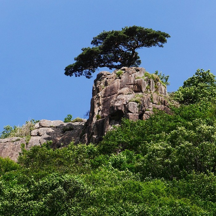 대둔산 전경