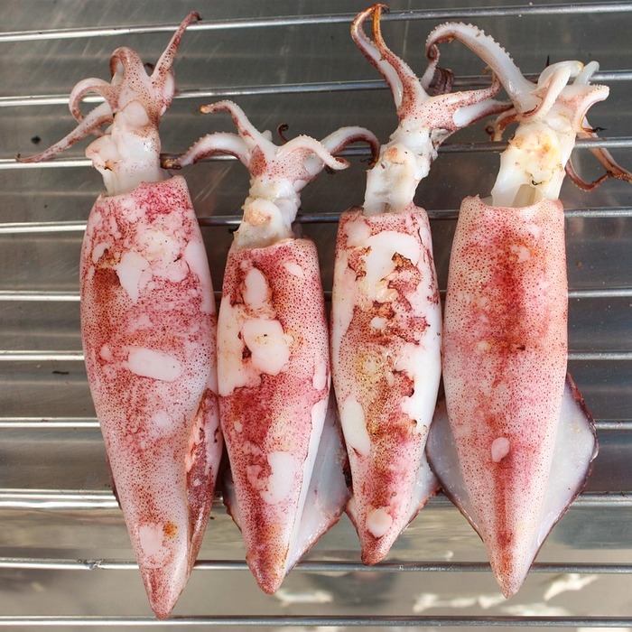 오징어 조리