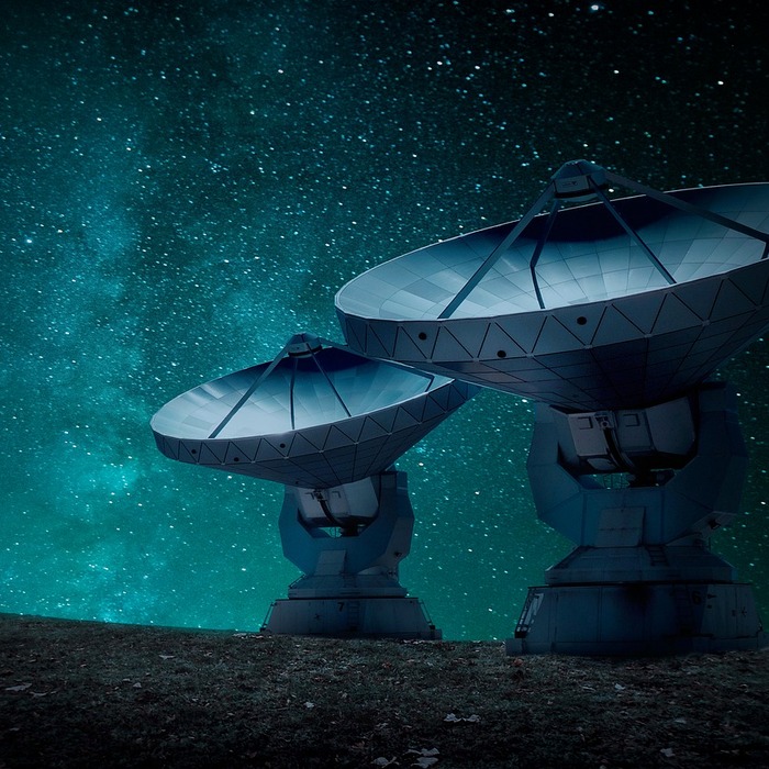 흡혈 곤충 전파