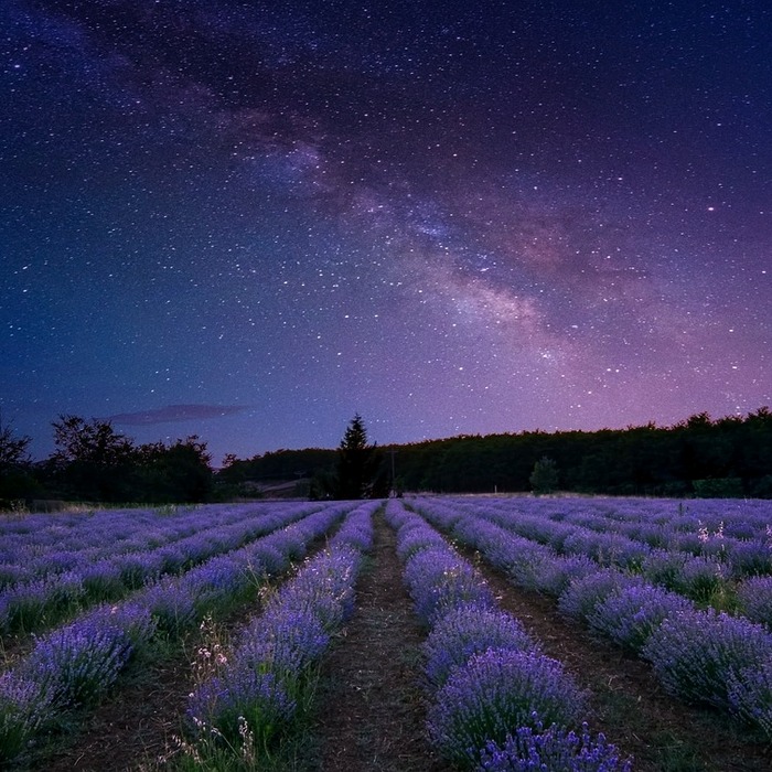 은하수 촬영 팁