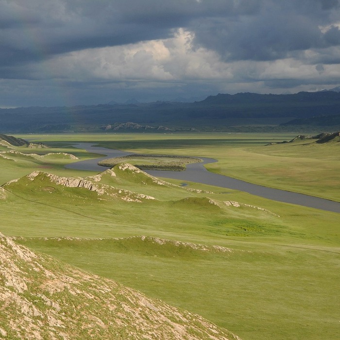 브룩 헨더슨 드라이브
