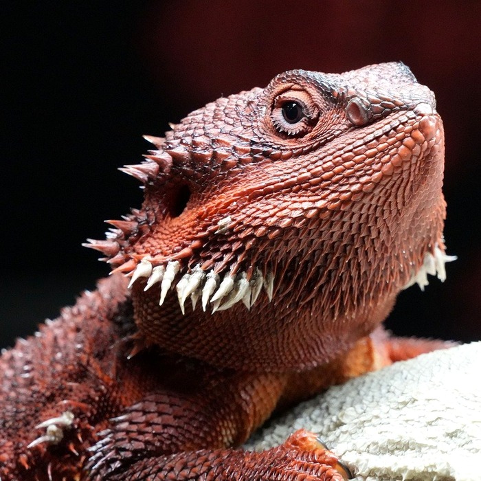 프로필 아이콘 클릭