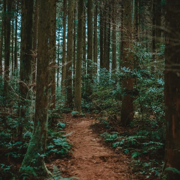 제주 마문화축제