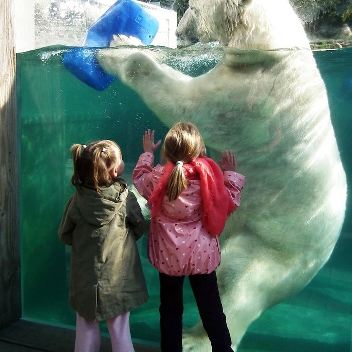 대출 금리 비교