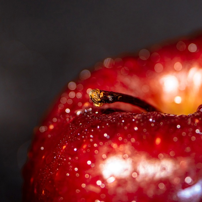 실손의료보험 혜택
