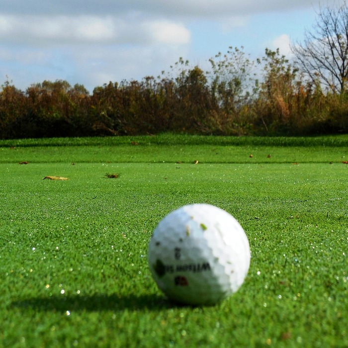 골프장 예약