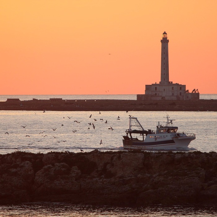 부당이득금 반환