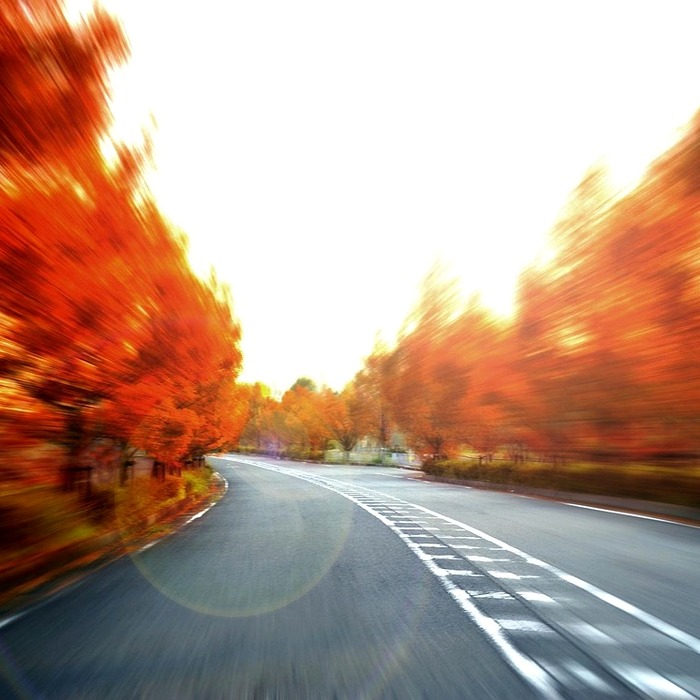 사업 진행 미흡