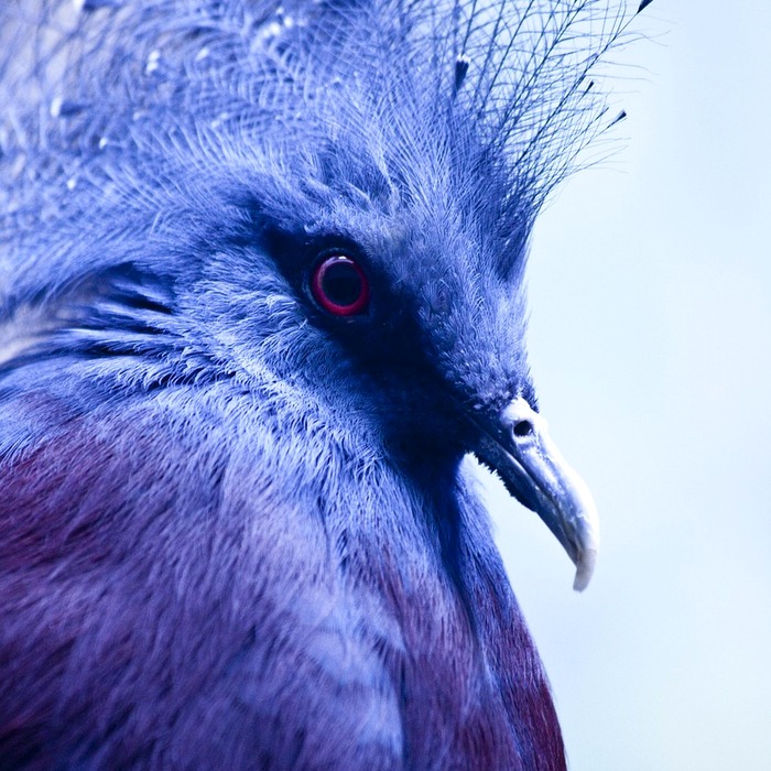 예비당첨자 선정 기준