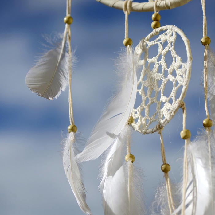 변기에 빠지는 꿈