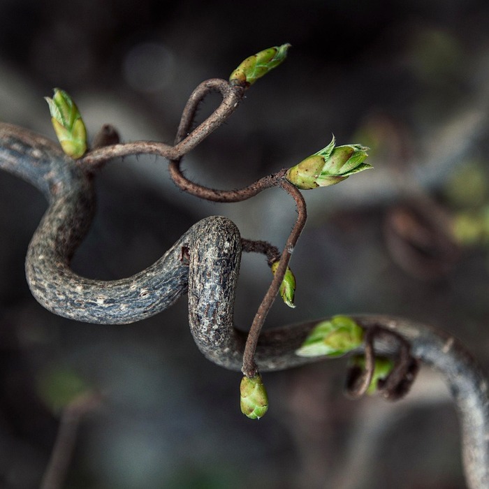 유연한 학습 환경