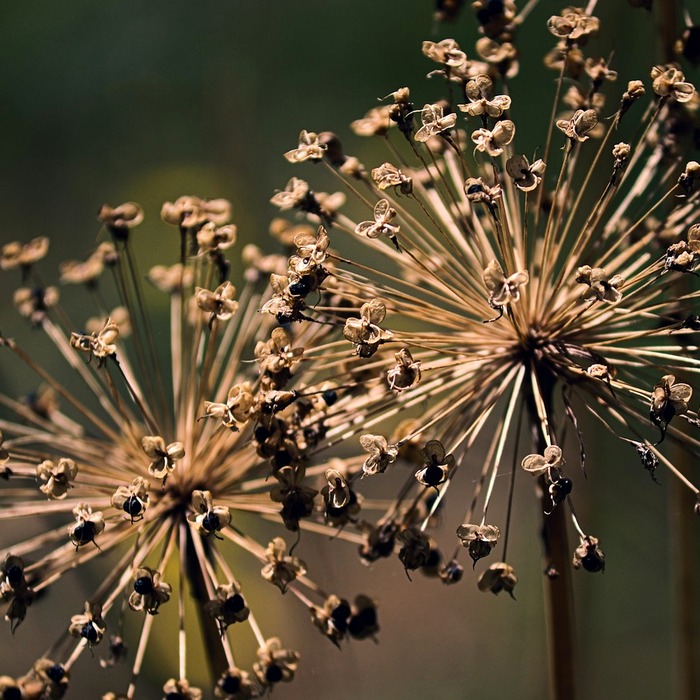 점 관상 기본 개념