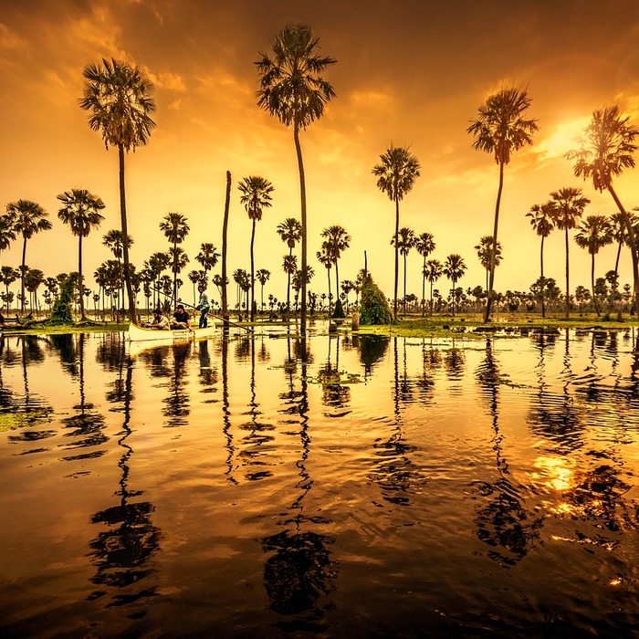 손바닥 점 해석