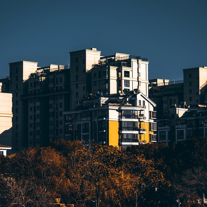 정보 공유 커뮤니티