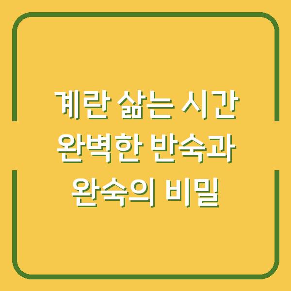계란 삶는 시간 완벽한 반숙과 완숙의 비밀