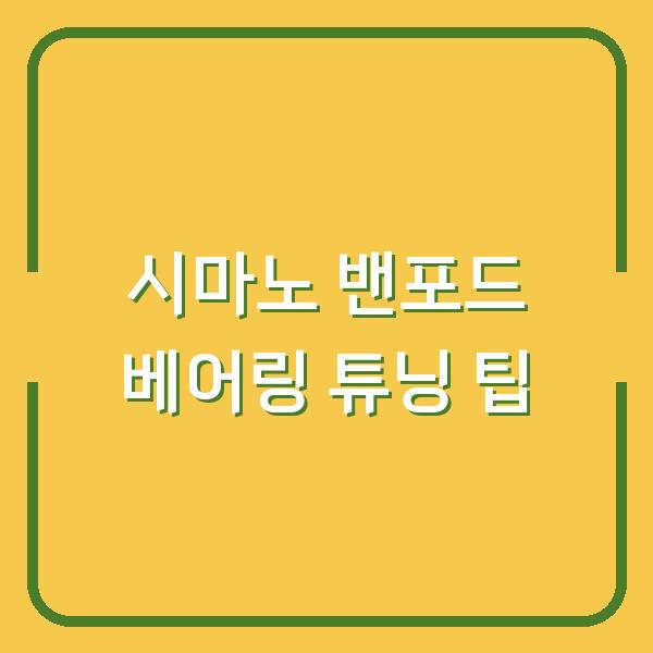 시마노 밴포드 베어링 튜닝 팁