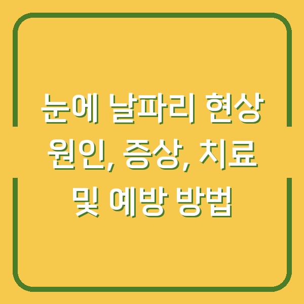 눈에 날파리 현상 원인, 증상, 치료 및 예방 방법