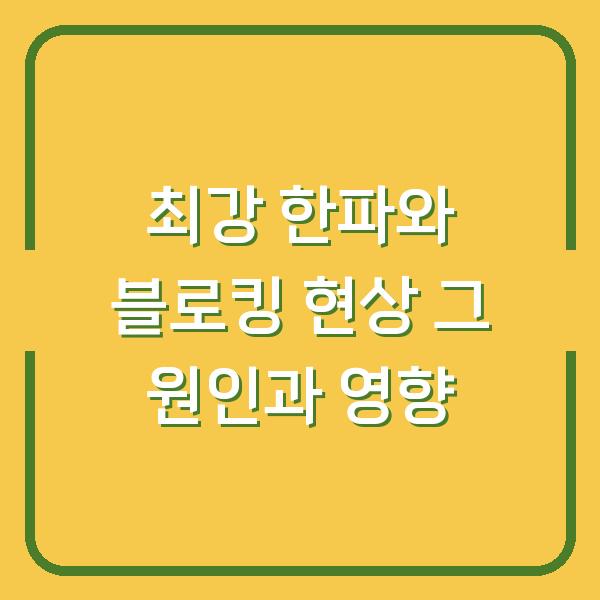 최강 한파와 블로킹 현상 그 원인과 영향