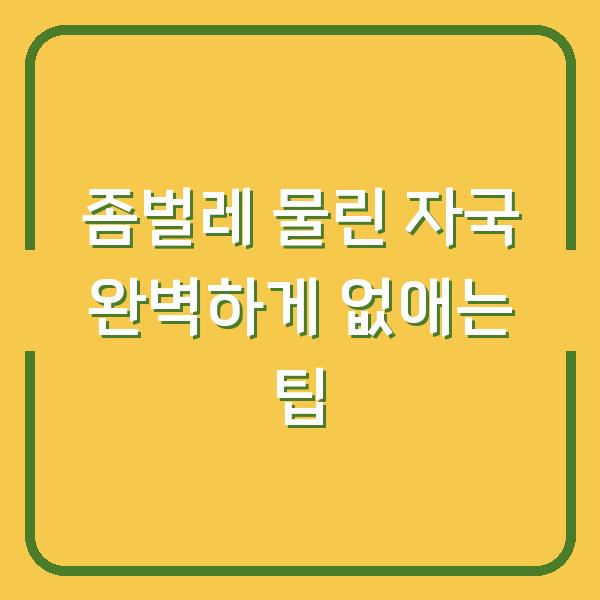 좀벌레 물린 자국 완벽하게 없애는 팁