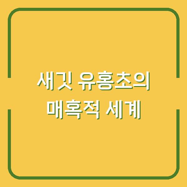 새깃 유홍초의 매혹적 세계