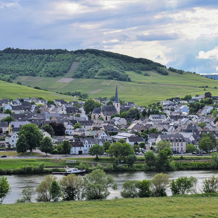 전복홍합탕 플레이팅
