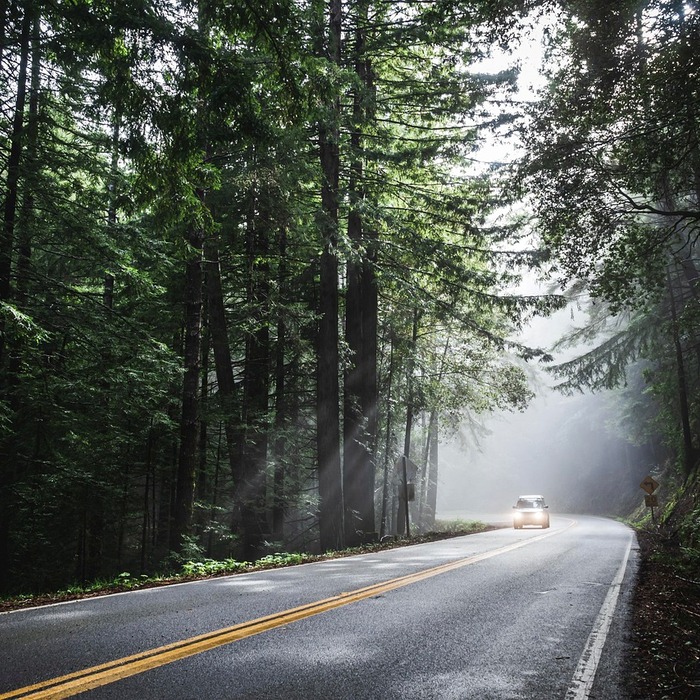 차량 예약 방법