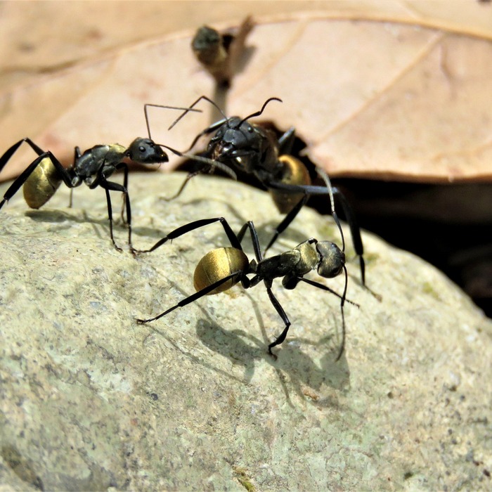고정금리와 변동금리