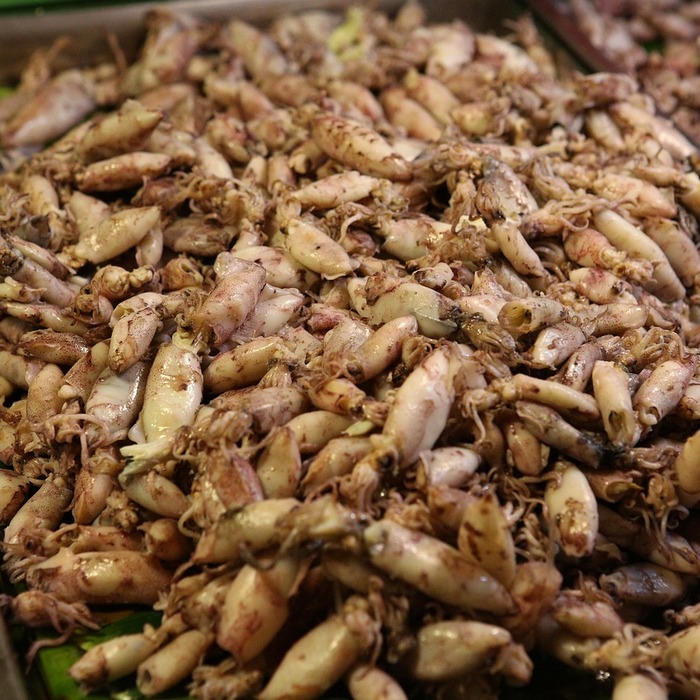 태국 길거리 음식