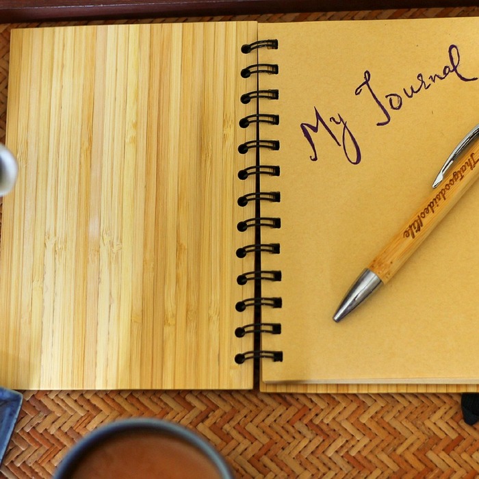 감정 일기 의미