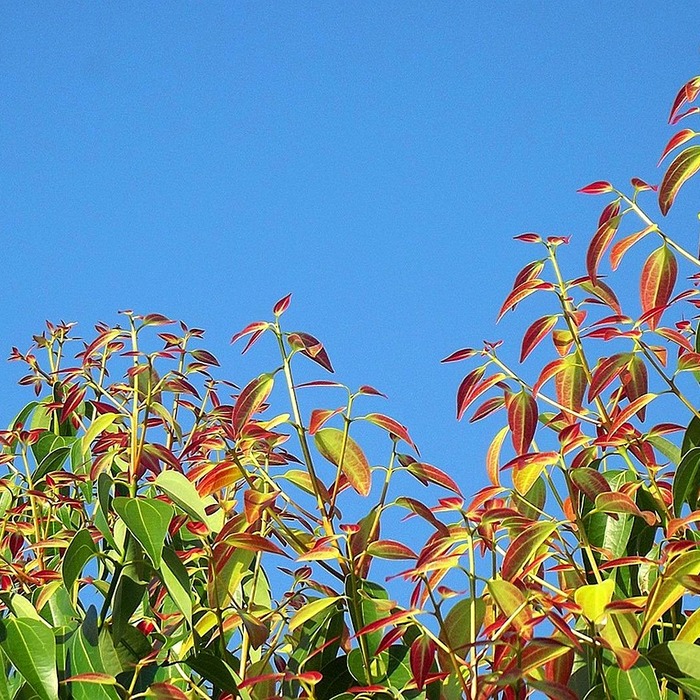 무릎 보호대 선택