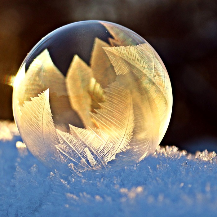 냉동 보관 방법