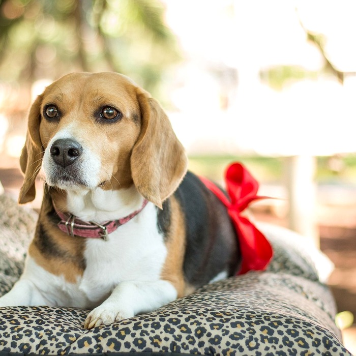 성령 충만한 예배