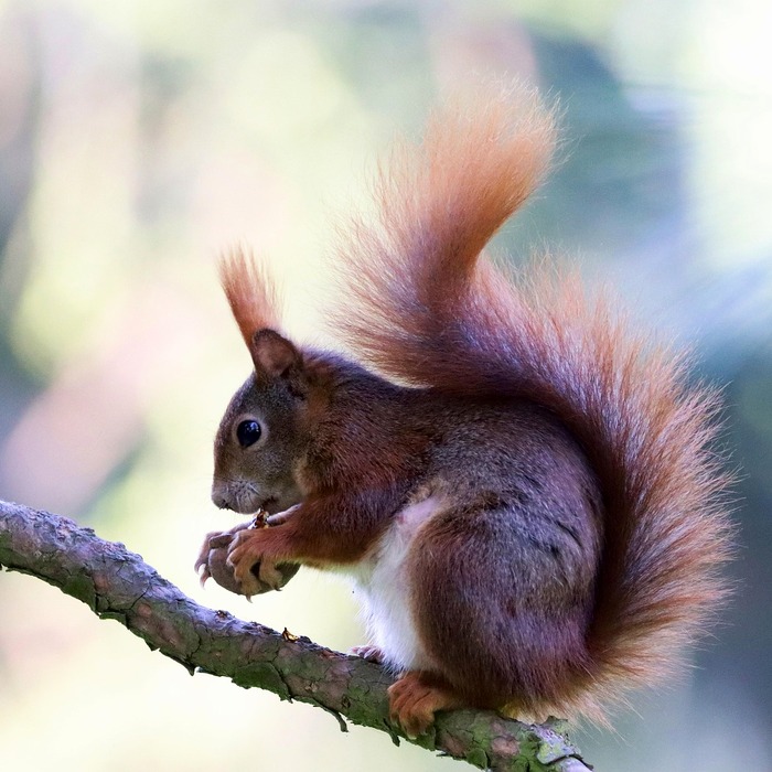 녹스 앱플레이어 설치