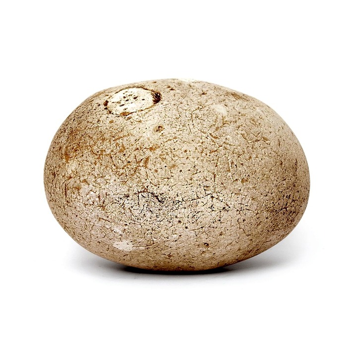 원천징수 계산법