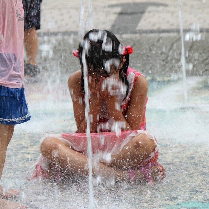 봉화 국립백두대간수목원