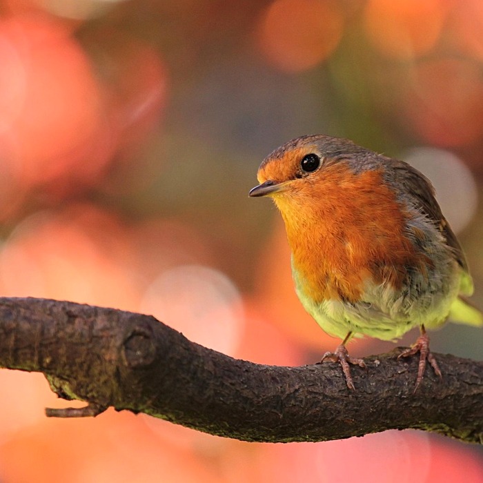 한국인 이름 예시