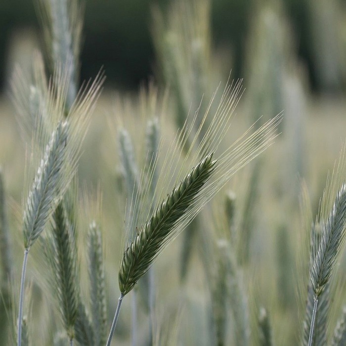 농업 경영체 등록