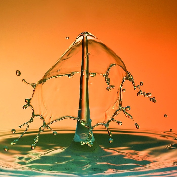 금목서 꽃 특징