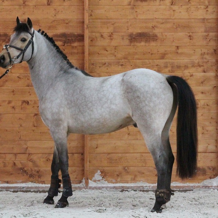 합의금 산정 기준