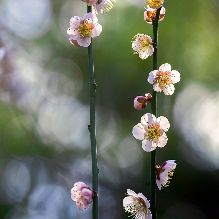 초기 증상 인식