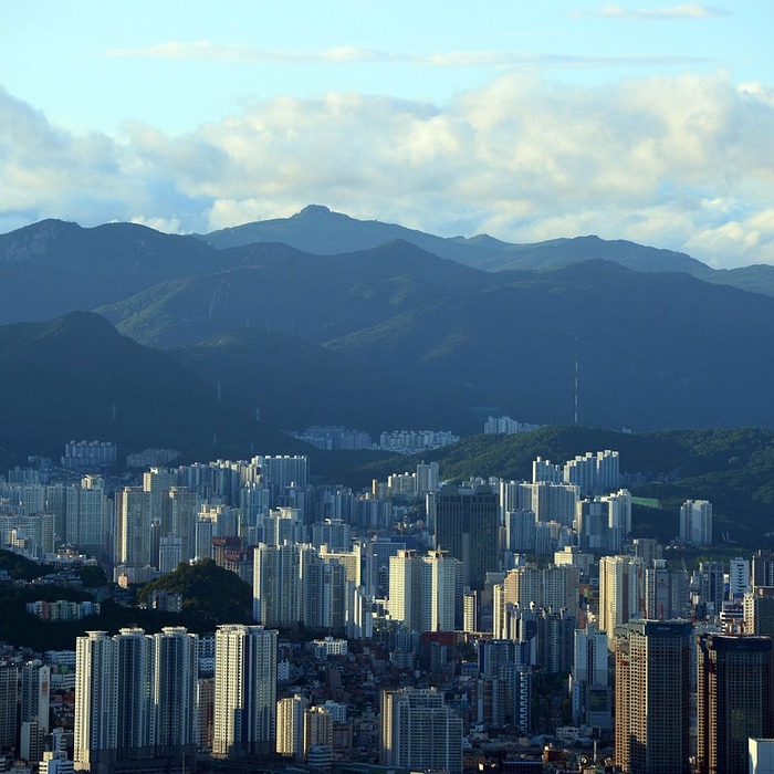 부산 금정구청장