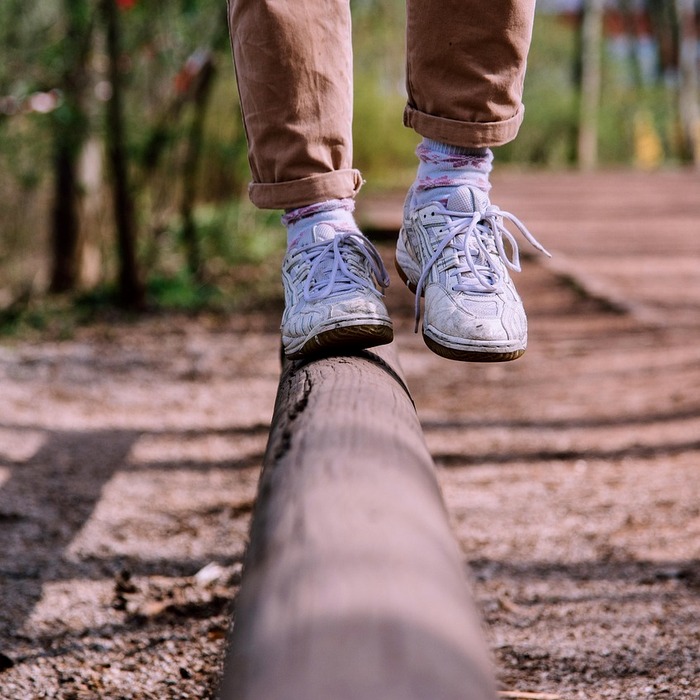 문화 교류 활동