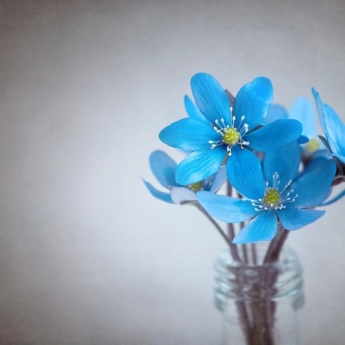 조기 수령 옵션