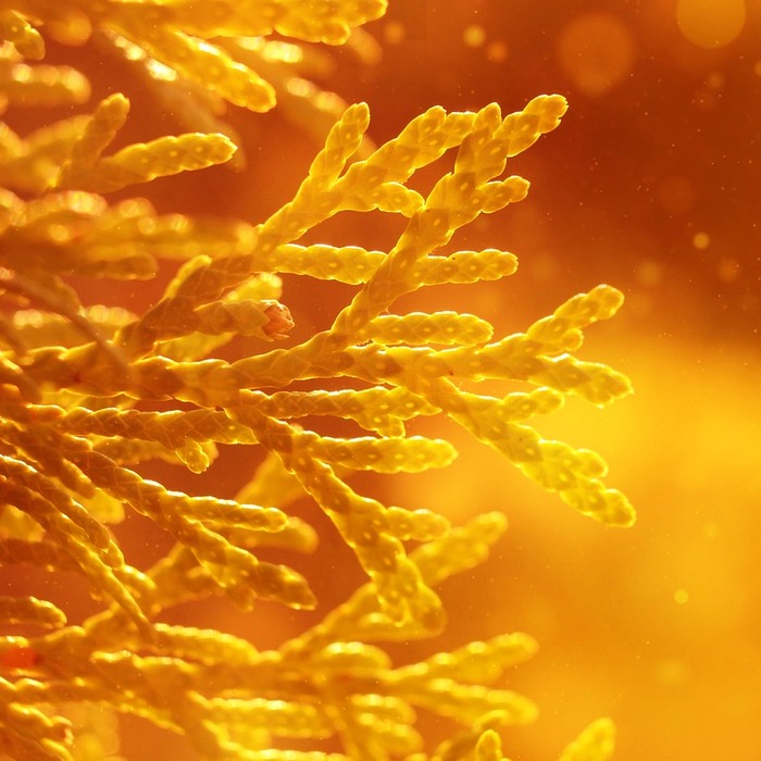 장기 투자 전략