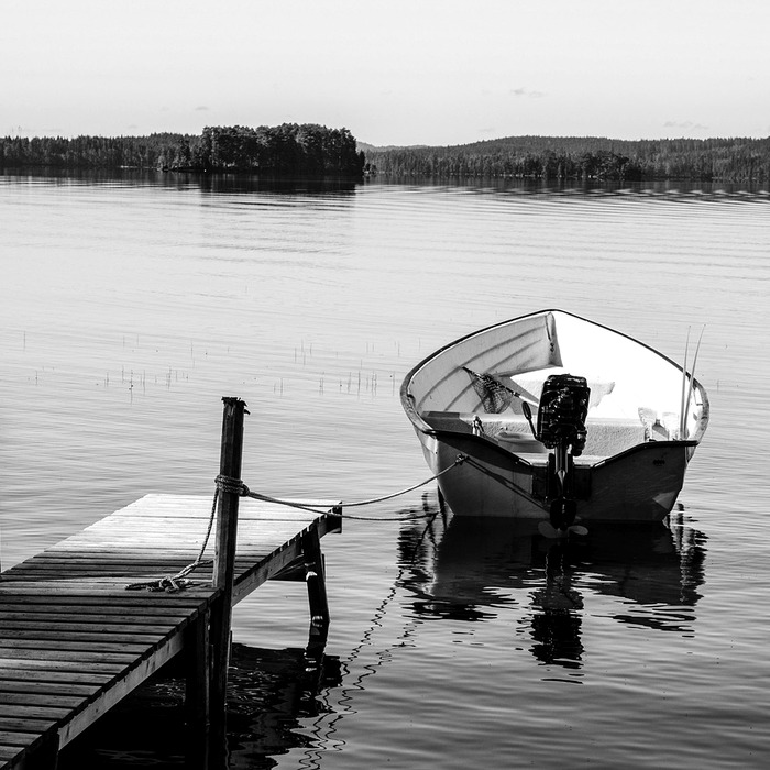 기관 투자자 관심