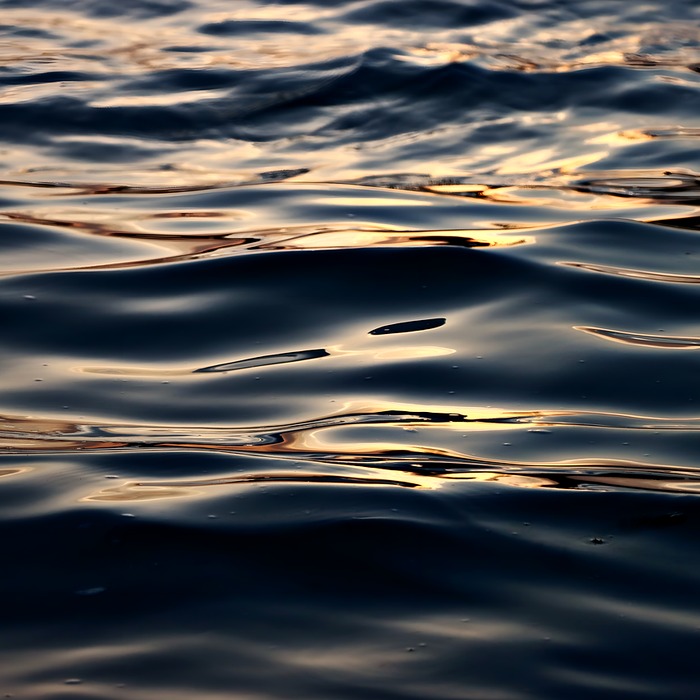 리플 가격 분석