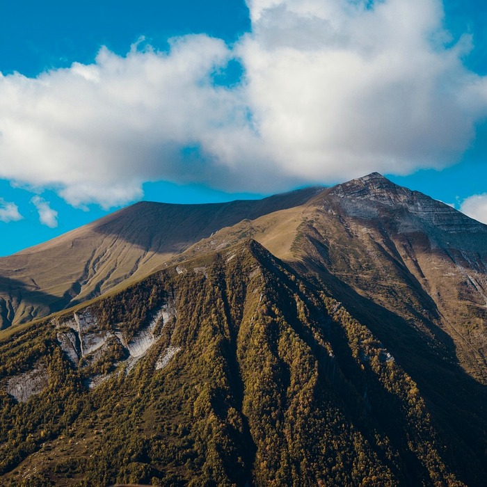 체지방 정상범위