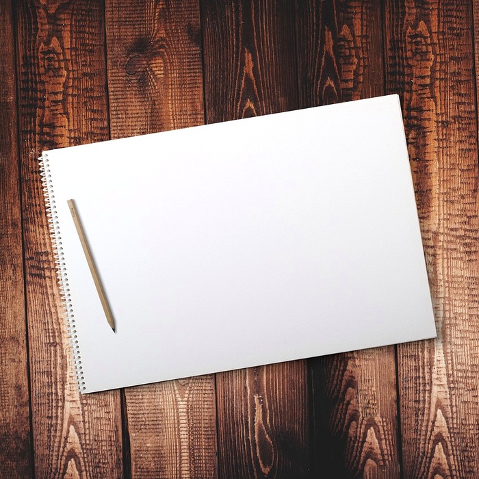 다이소 쿠션패드