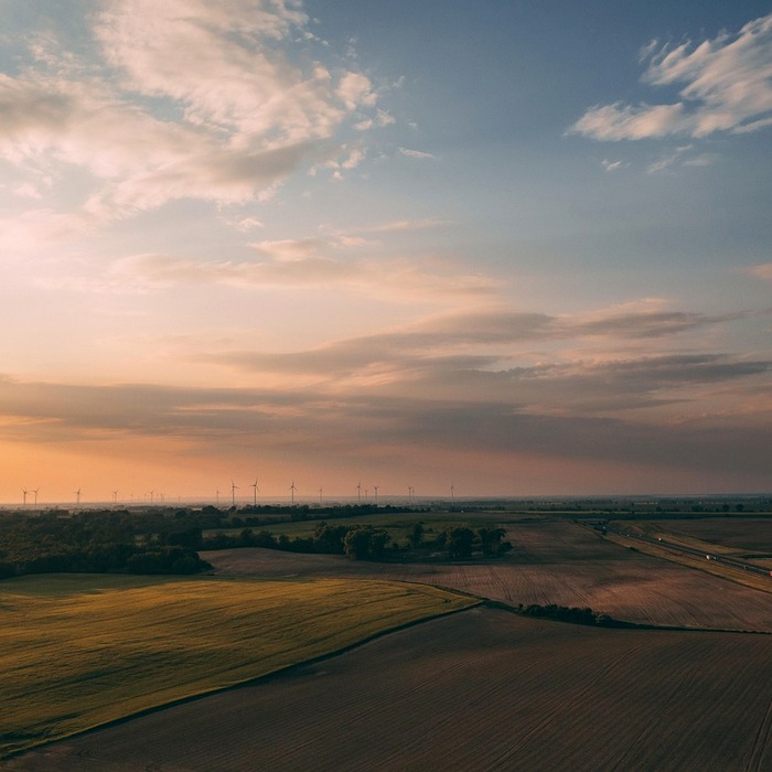 지속 가능성 보험