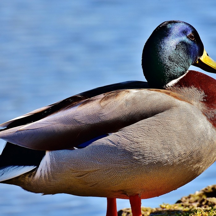 LG 트윈스 경기 일정